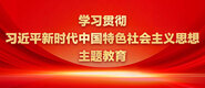 大鸡巴日大B学习贯彻习近平新时代中国特色社会主义思想主题教育_fororder_ad-371X160(2)